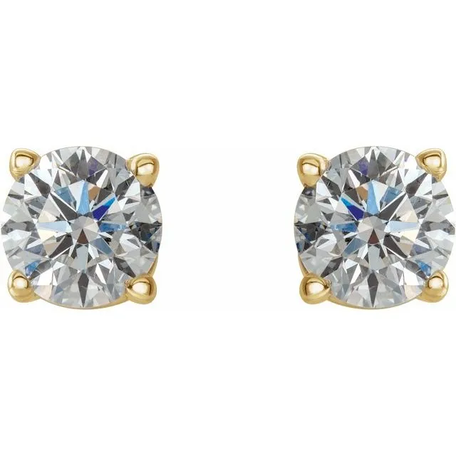 14K Yellow 12 CTW Diamond Earrings TreasureFineJewelers Earrings