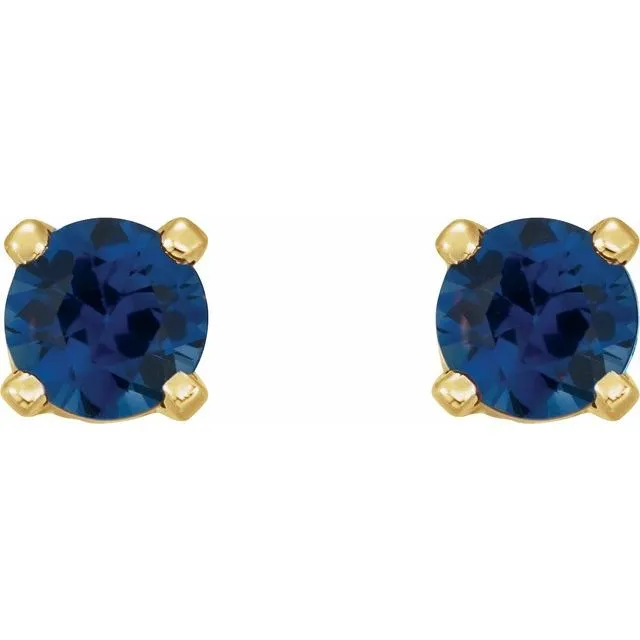 14K Yellow Gold Natural Blue Sapphire Earrings TreasureFineJewelers Earrings