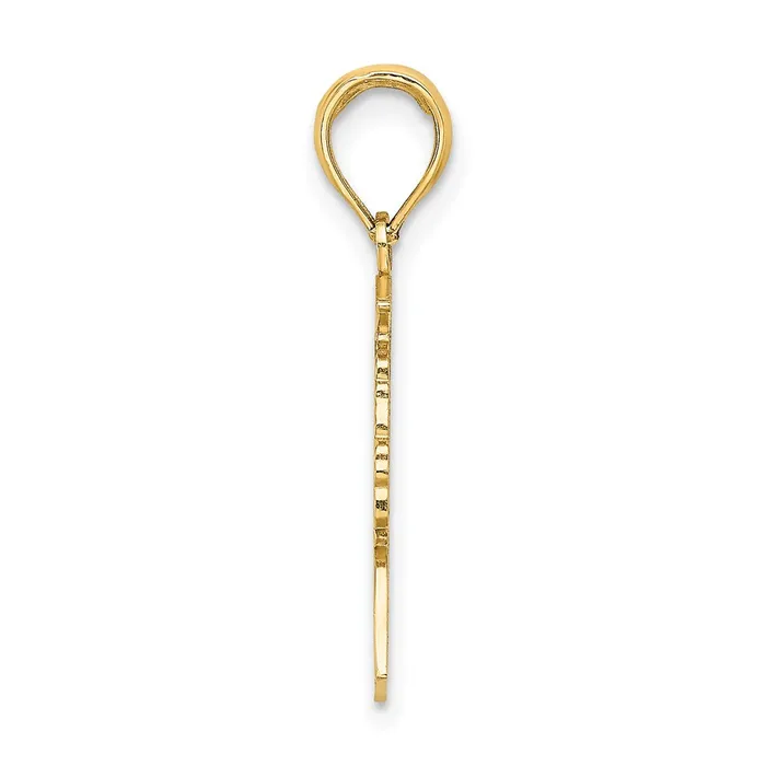 Charm Necklaces TreasureFineJewelers 14K Polished Female Graduation Profile w Diploma Charm