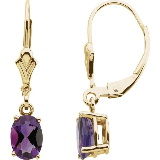Earrings TreasureFineJewelers 14K Yellow Gold Amethyst Earrings