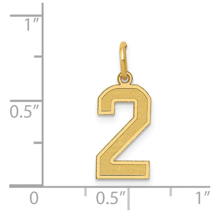 TreasureFineJewelers Charm Necklaces 14k Medium Satin Number 2 Charm
