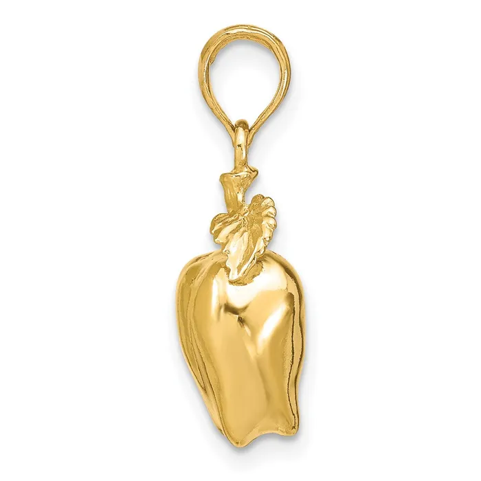 TreasureFineJewelers Charm Necklaces 14k Yellow Gold 3D Apple W Stem and Leaf Charm